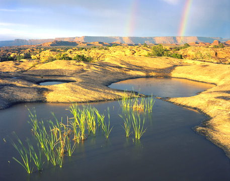 Pot Hole Point in Canyonlands National Park